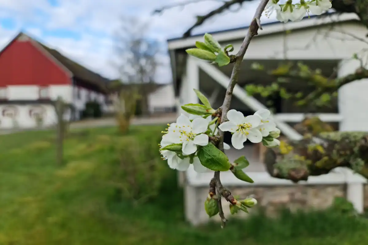 Charmigt boende i lugn och naturnära miljö